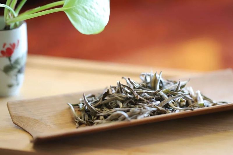 Why 100℃ water is the touchstone of Fuding white tea?