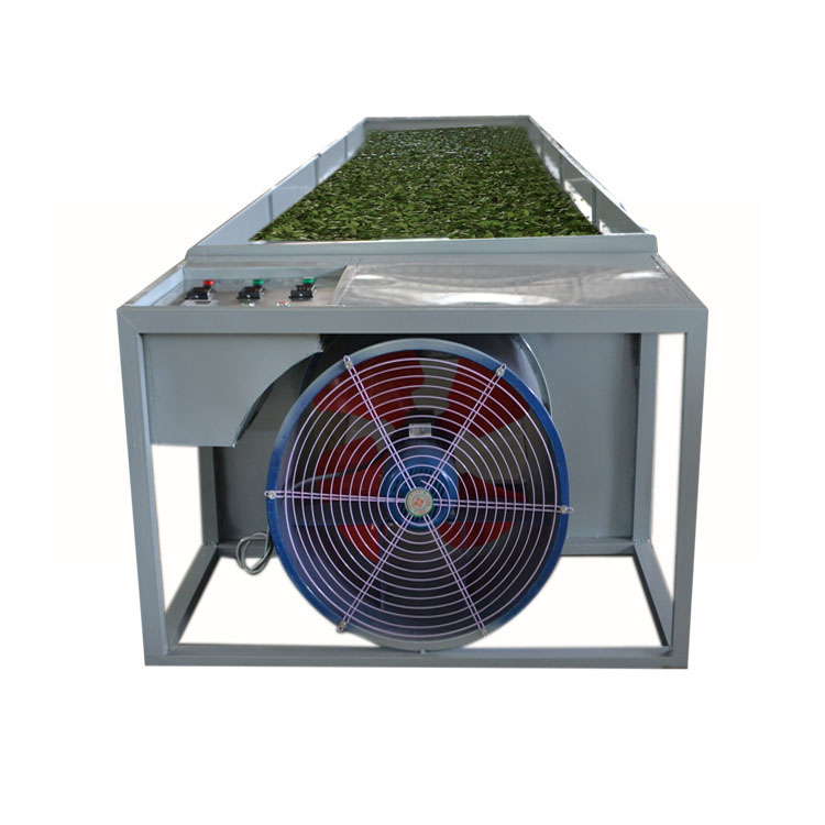 100kgs White Tea of Fresh Leaf Production Solution